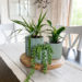 fluted planters and plant riser